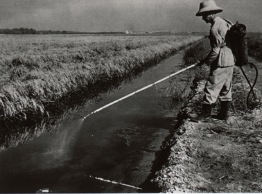 Mosquito eradication spraying in a ditch, Brazil
