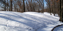 2000 Year Old Burial Mounds at Fire Point