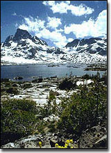 Mountain Scene with lake and forest in forground