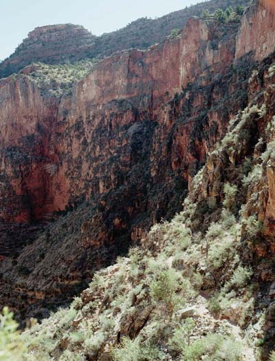 Photograph of view of Miner Spring Trail leading to the crime scene at Horseshoe Mesa, Grand Canyon Arizona 