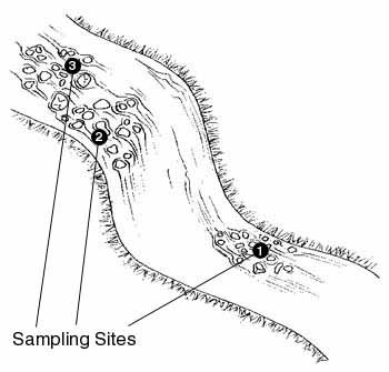 Location of sample sites