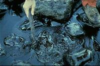 Exxon Valdez - pools of oil on rocky beach