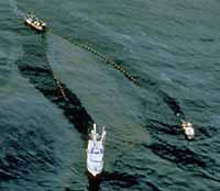 Exxon Valdez - skimming operation