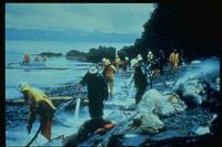 Exxon Valdez - boom preventing oil refloating