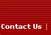 [Contact Us]