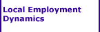 Local Employment Dynamics