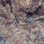 Image of the rock from the Clarno assemblage.