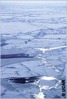 Sheets of broken ice on ocean (University Corporation for Atmospheric Research, Photo by James Hannigan)