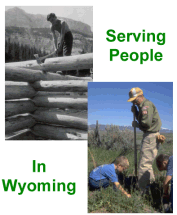 Black and white photo of man cutting logs and color photo of man and boy planting a tree.