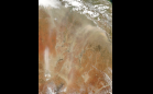 Visible Earth Image, Please See Caption