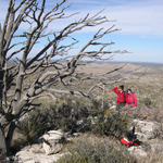 Hiking in Carlsbad Caverns National Park's rugged backcountry.