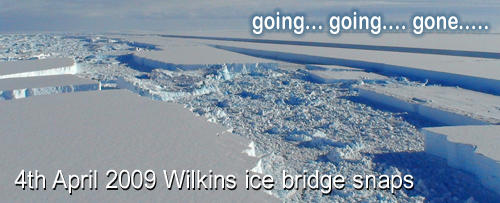 Wilkins Ice Bridge Snaps - 4th April 2009