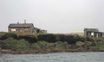 photo showing large sections of shoreline undercut and collapsed