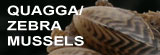 Link to Quagga and Zebra Mussel information