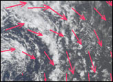 Extratropical Cyclone in the Southern Ocean