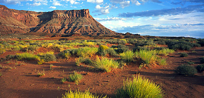 photo: Typical desert landscape in the Canyonlands area