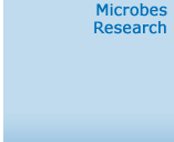 Microbes Research