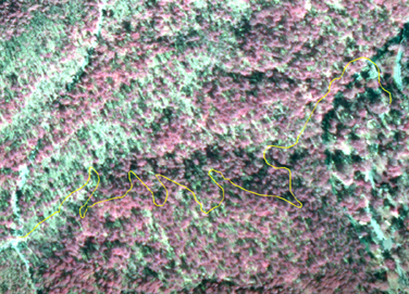 Red aerial map of Hot Springs National Park, with Gulpha Gorge trail highlighted in yellow