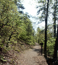 Gravel path going slightly uphill, with small trees on both sides of trail; small brown trail sign is on right.