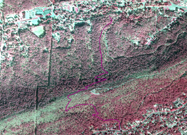 Portion of aerial infrared photo of park showing Mountain Top Trail in dark pink
