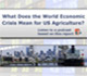 The 2008/2009 World Economic Crisis: What It Means for U.S. Agriculture