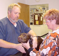 Dr. Tinsley examines Gracie with help from his assistant.