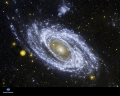 Spiral Galaxy M81