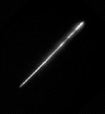 A Perseid Meteor in 1995.
Credit: Northeast Florida 
Astronomical Society