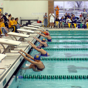 swimmers at start position for race