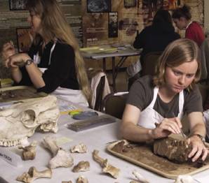 A photo of a staff member examining an artifact at the Presidio Archaeology Lab.