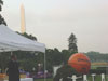 A giant basketball at the National Basketball Association's display for the event.