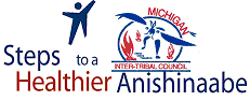 Steps to a Healthier Anishinaabe Logo
