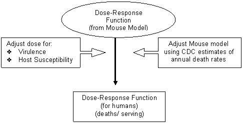 Figure IV-1: Flow chart showing components of the dose-response model and link to long descripton.