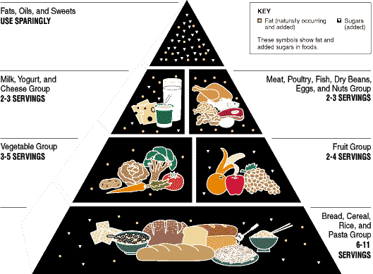 The Food Guide Pyramid - A Guide to Daily Food Choices
