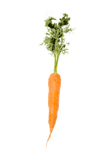 Las zanahorias