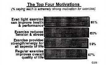 Bar chart showing the Top Four Motivations