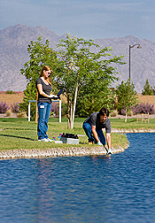 Technicians collect water samples from a pond that supplies irrigation water to Pacana Park in Maricopa, Arizona: Click here for full photo caption.