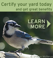 Certify your yard today!