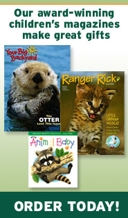 Subscribe to one of our award-winning kid's magazines