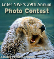 Enter NWF's 39th Annual Photo Contest!