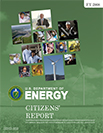 Cover for 2008 Citizen's Report