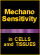 Mechanosensitivity in Cells and Tissues
