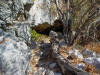 (Photo) The entrance to Samwel Cave including some of the trail that leads to the cave.