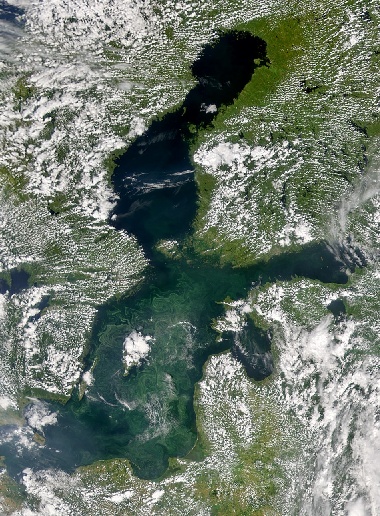 SeaWiFS image of phytoplankton bloom in the Baltic Sea, July 24, 
2003