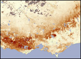 Vegetation Struggles in Southeastern Australia