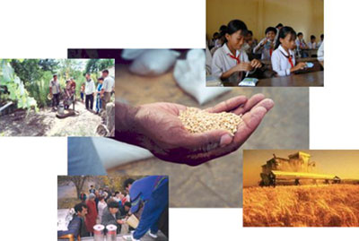 food aid collage