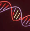 Photo of DNA strand.