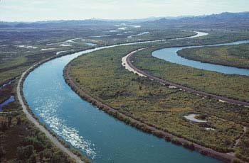 Colorado River Levee