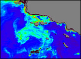 Phytoplankton Bloom off California�s Channel Islands