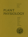 The cover of the journal